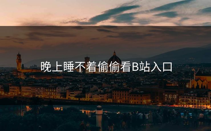 晚上睡不着偷偷看B站入口