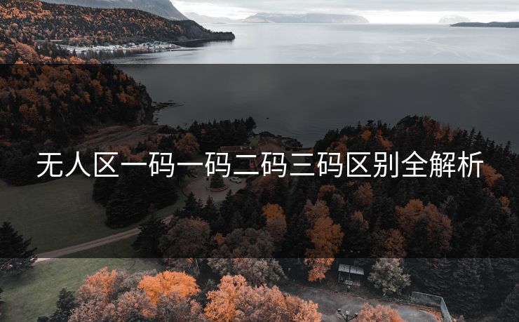 无人区一码一码二码三码区别全解析