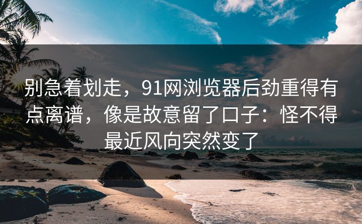 别急着划走，91网浏览器后劲重得有点离谱，像是故意留了口子：怪不得最近风向突然变了